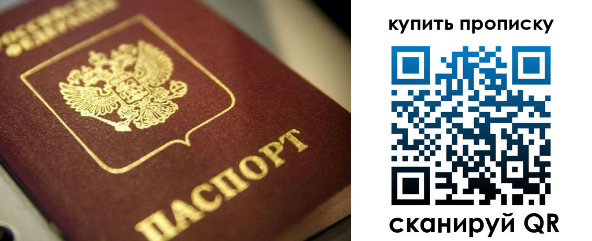 прописка поиск в Данилове